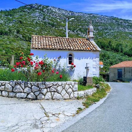 Countryside Vacation House Vitez Babino Polje Bagian luar foto