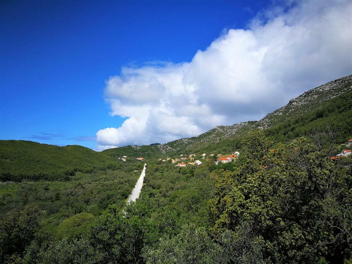 Countryside Vacation House Vitez Babino Polje Bagian luar foto