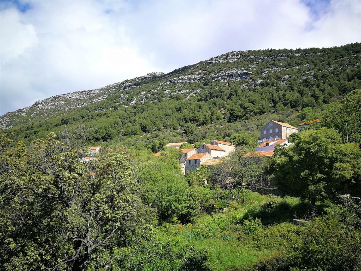 Countryside Vacation House Vitez Babino Polje Bagian luar foto