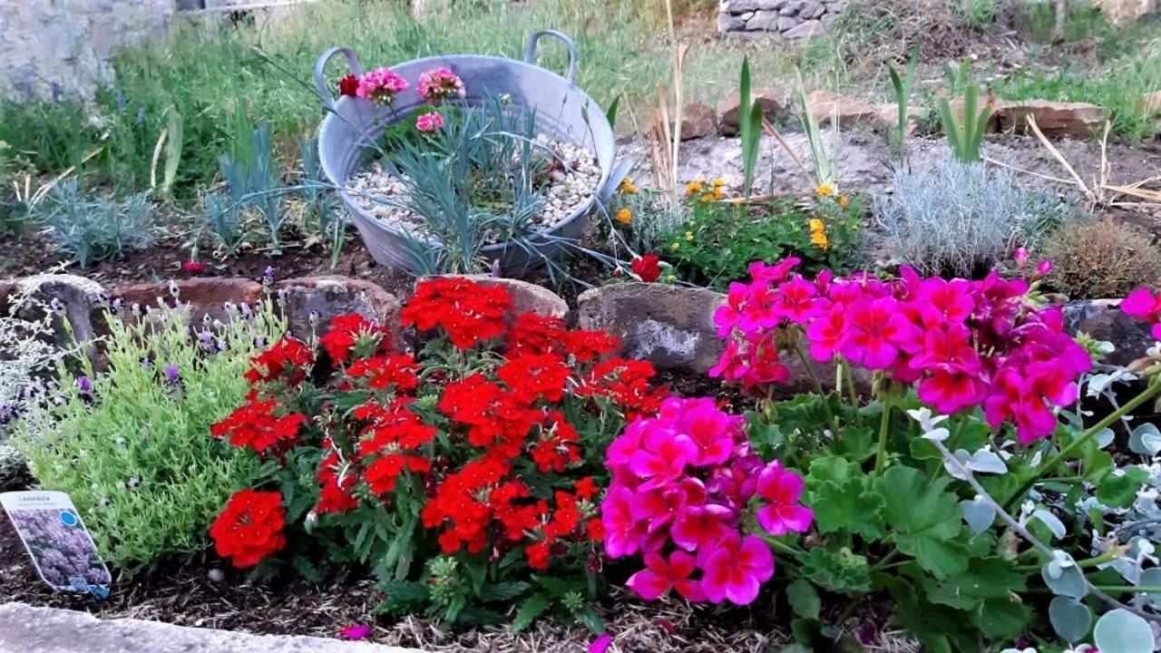 Countryside Vacation House Vitez Babino Polje Bagian luar foto