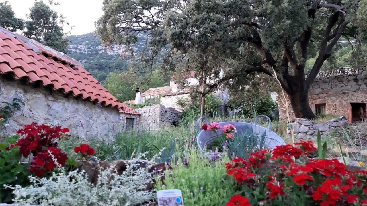 Countryside Vacation House Vitez Babino Polje Bagian luar foto